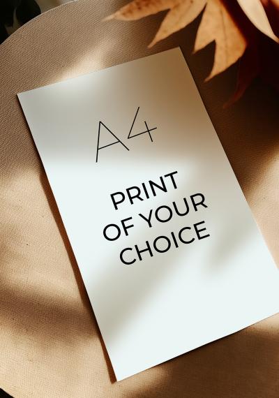 https://test.connec.be/products/a4-print